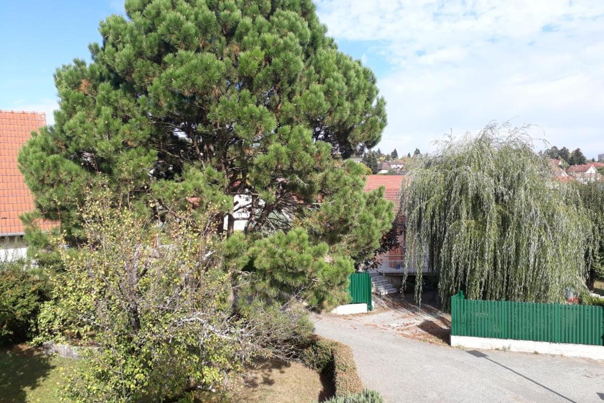 Appartement Independant A Proximite De Belfort Essert Exterior photo